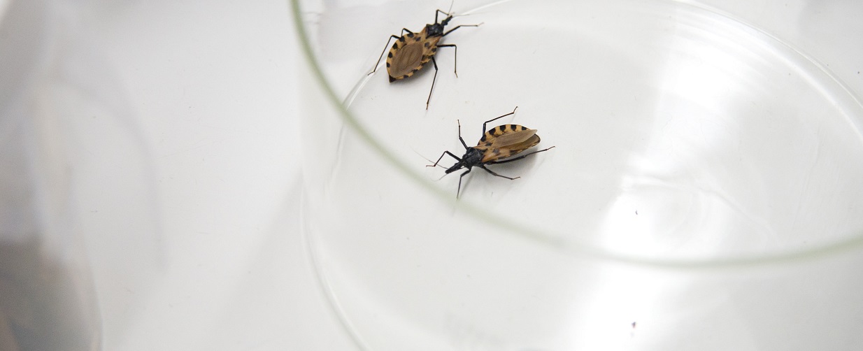 World Chagas Disease Day – April 14, 2020