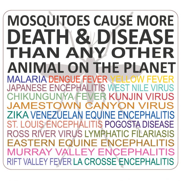 Mosquitoes cause more death and disease than any other animal on the planet