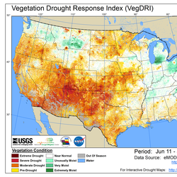 VegDRI and QuickDRI sample map