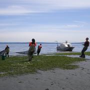 Beach seine Bainbridge Island