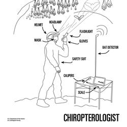 Chiropterologist coloring page