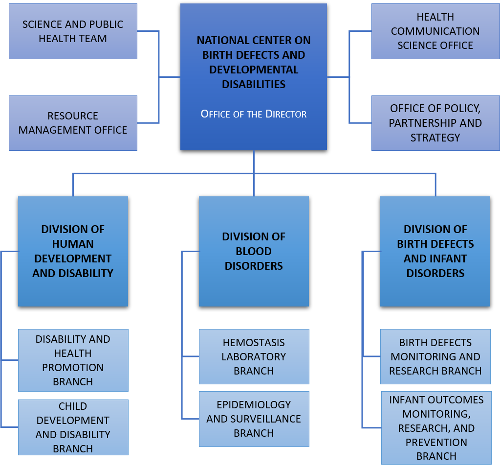 NCBDDD Organizational Chart
