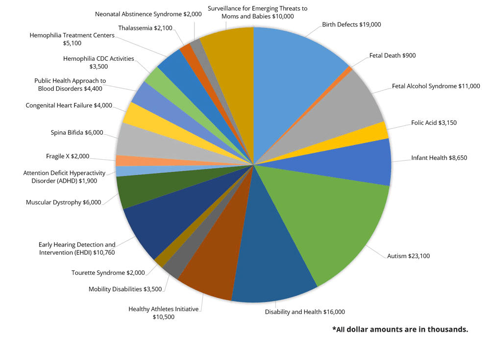 Fiscal Year 2019 Budget Pie Chart, see details below