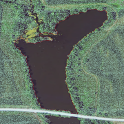 Reduced lidar point density over a water body where lidar pulses were absorbed