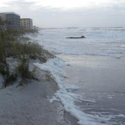 Wave runup and storm surge cover reach the dune toe on St. Pete Beach during Tropical Storm Debby.