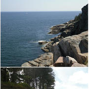 marsh, rocky coast, barrier beach, coastal bluff