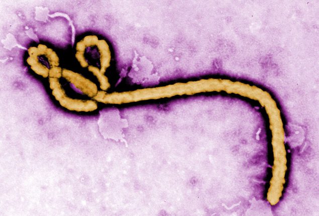 Ebola disease