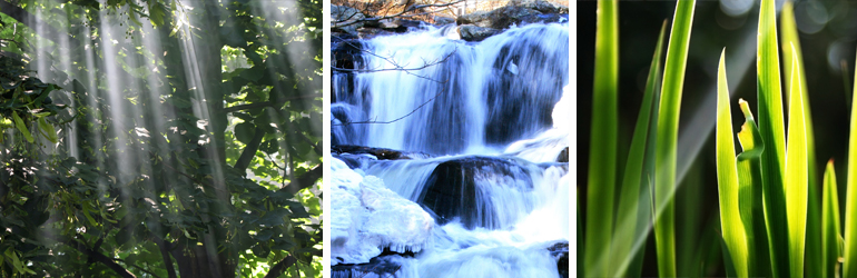 Collage of nature pictures including sun light coming from tree braches, a waterfall, and freshly cut grass.