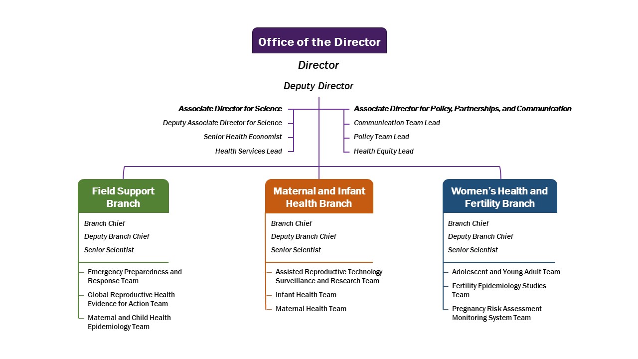 DRH Organizational Chart: Office of the director: Associate director for science, deputy associate director for science, director, deputy director, communication team lead, policy lead, health equity lead. Field Support Branch: branch chief, deputy branch chief, senior scientist, emergency preparedness team, global reproductive health evidence for action team, maternal and child health epidemiology team. Maternal and Infant Health Branch: Branch chief, deputy branch chief, senior scientist, assisted reproductive technology surveillance and research team, infant health team, maternal health team. Women’s Health and Fertility Branch: Branch chief, deputy branch chief senior scientist, adolescent and young adult team, fertility epidemiology studies team, pregnancy risk assessment monitoring system team. 