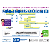 Easy-to-read Vaccine Schedules