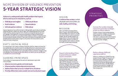 Strategic Vision