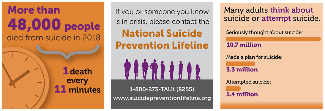 more than 47,000 deaths in 2017, resulting in about one death every 11 minutes. Every year, many more people think about or attempt suicide than die by suicide. In 2017, 10.6 million American adults seriously thought about suicide, 3.2 million made a plan, and 1.4 million attempted suicide.