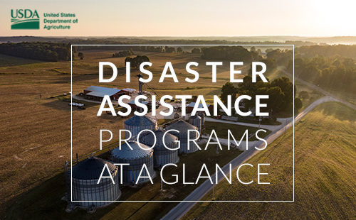 Disaster Assistance Programs at a Glance