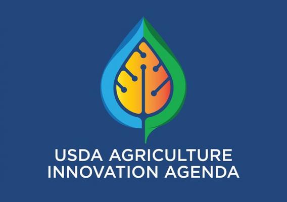 Agricultural Innovation Agenda logo