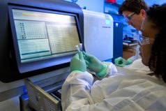 woman with lab samples in front of computer screen