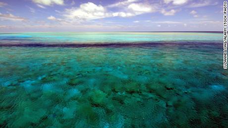 The 81-year-old fish was discovered in the Rowley Shoals area of Western Australia, which is pictured here.