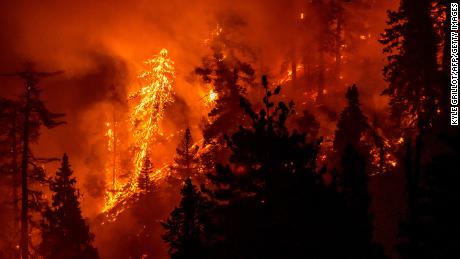 The Bobcat Fire continues to burn through the Angeles National Forest in Los Angeles County, north of Azusa, California, September 17, 2020. - California faces more devastation from wildfires that have ravaged the West Coast, authorities have warned, with strong winds and dry heat expected to whip up flames from dozens of blazes raging across the state. Governor Gavin Newsom said although firefighters had made progress in their battle to contain more than two dozen major wildfires, so-called Santa Ana winds could fuel the relentless blazes. (Photo by Kyle Grillot / AFP) (Photo by KYLE GRILLOT/AFP via Getty Images)