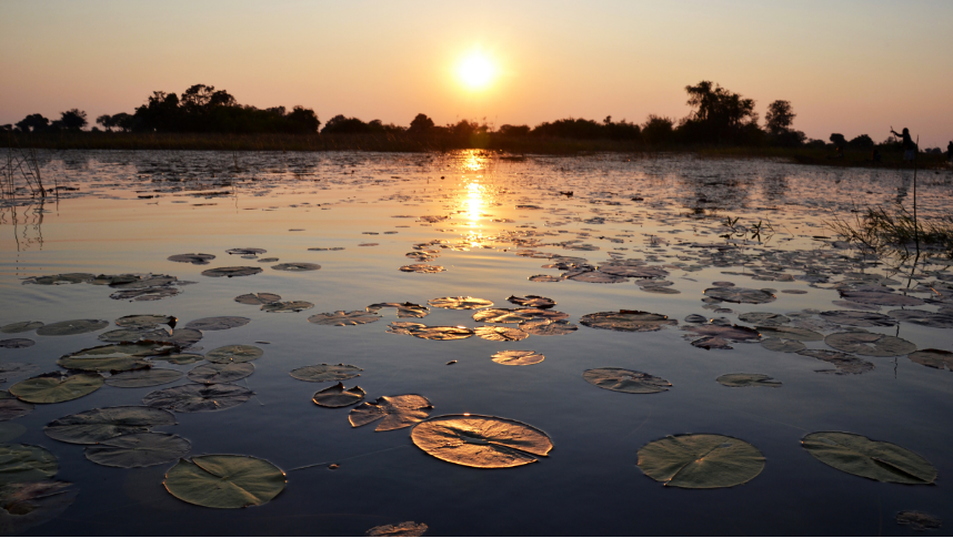 The Okavango Delta in Botswana provides a critical water source and habitat to vulnerable and endangered species, such as African elephants, rhinoceros, and lions. (Department of State photo)