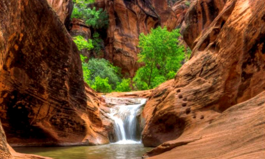 Red Cliffs National Conservation Area