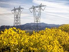 California Desert Conservation Area