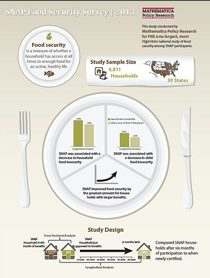 Infographic - SNAP Food Security Survey 2013