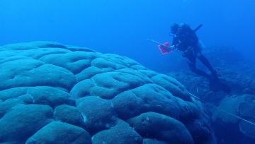 NOAA Research Ecologist and scuba diver Shay Viehman finishes up a survey of corals in the deep blue waters of Flower Garden Banks National Marine Sanctuary. In the foreground is a huge mound of corals.