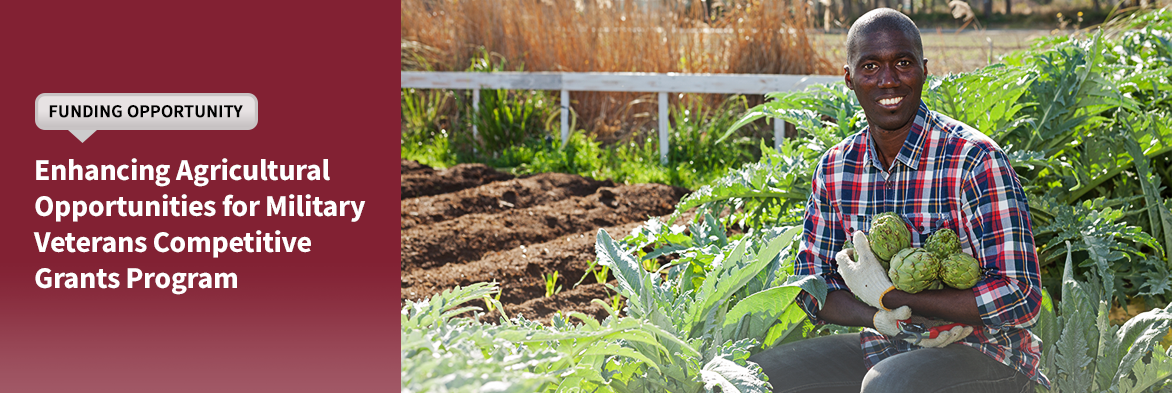 Funding Opportunity: Enhancing Agricultural Opportunities for Military Vets. Image of man in garden, courtesy of Adobe Stock. Links to Funding Opportunity.