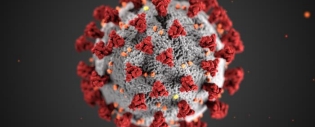 The 2019–20 coronavirus pandemic is an ongoing viral pandemic of coronavirus disease 2019.