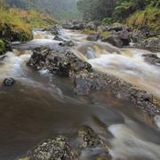 Water flowing in the Wailuku River in Hawai'i