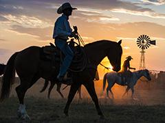 BLM New Mexico