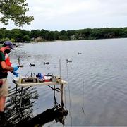 water, table, hydrologic technician, ducks, trees