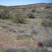 scrublands with hills in the background