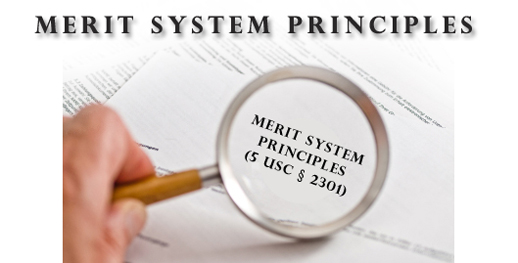 Merit System Principles