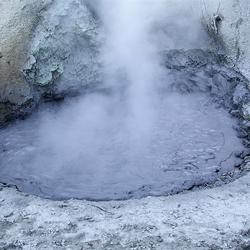 Mudpot located near Mud Volcano in Yellowstone National Park