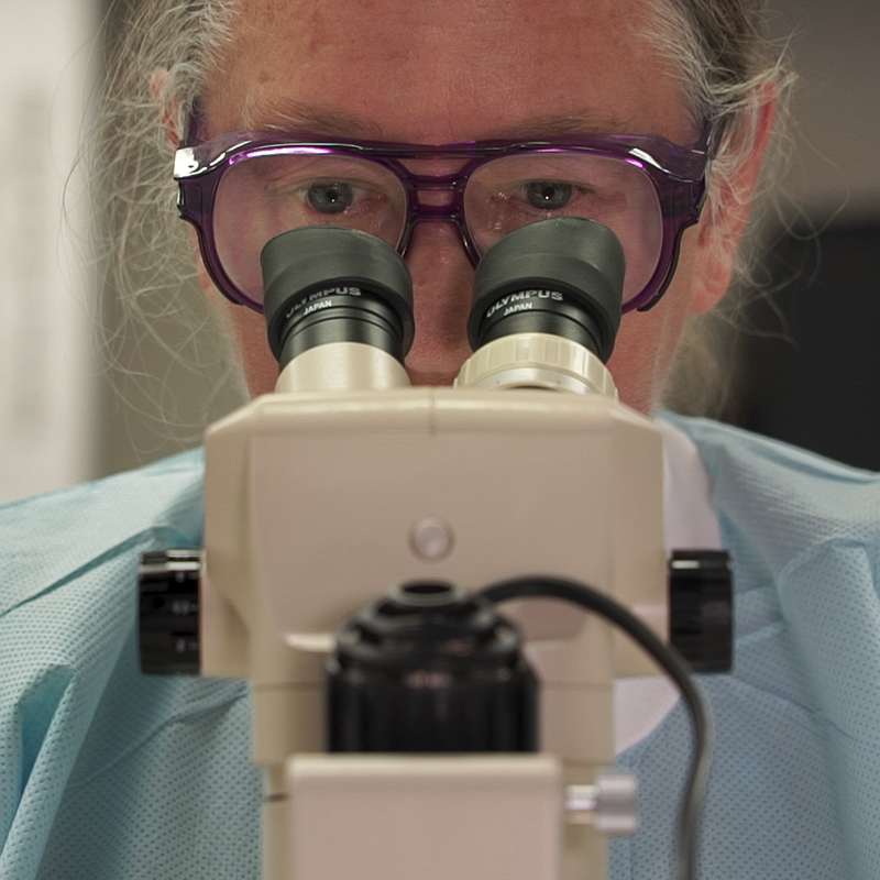 Janet McAllister peers into a microscope