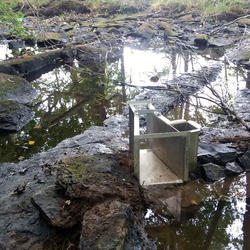 2020 drought impact on Stony Brook near West Suffield, CT