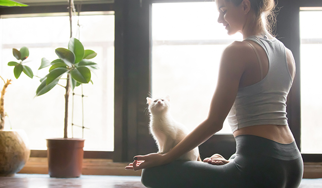 Una mujer sentada haciendo yoga con su gato
