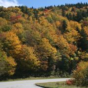 Image: Fall Foliage Along Blue Ridge Parkway