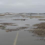 Image: Big Sioux River at Akron, Iowa, 2010