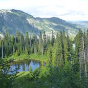 Lake and forest landscape in Mt. Rainier National Park