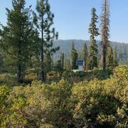 a solar panel powering a seismometer peeks out of trees in the Shasta-Trinity National Forest