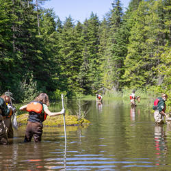 People wading in knee-high water