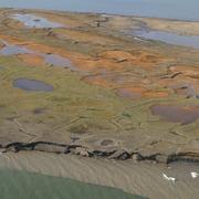 Aerial photograph looking at an eroding bluff on an arctic island with ponded water, green grass, and dying grass.