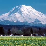 Mount Rainier seen from Puyallup, Washington