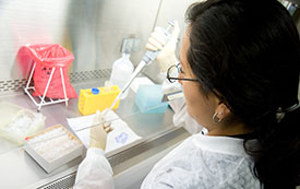 Photo by David Snyder for Fogarty/NIH. A researcher prepares samples in the STD lab at the Universidad Peruana Cayetano Heredia in Lima, Peru.