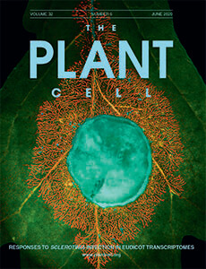 the plant cell new cover