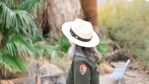 Ranger looking up at a tall tree