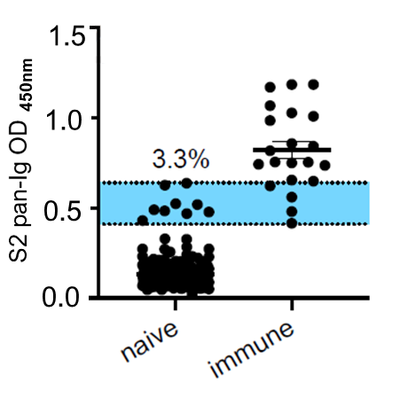 Assessment of anti-S2 as secondary confirmation of seropositivity.