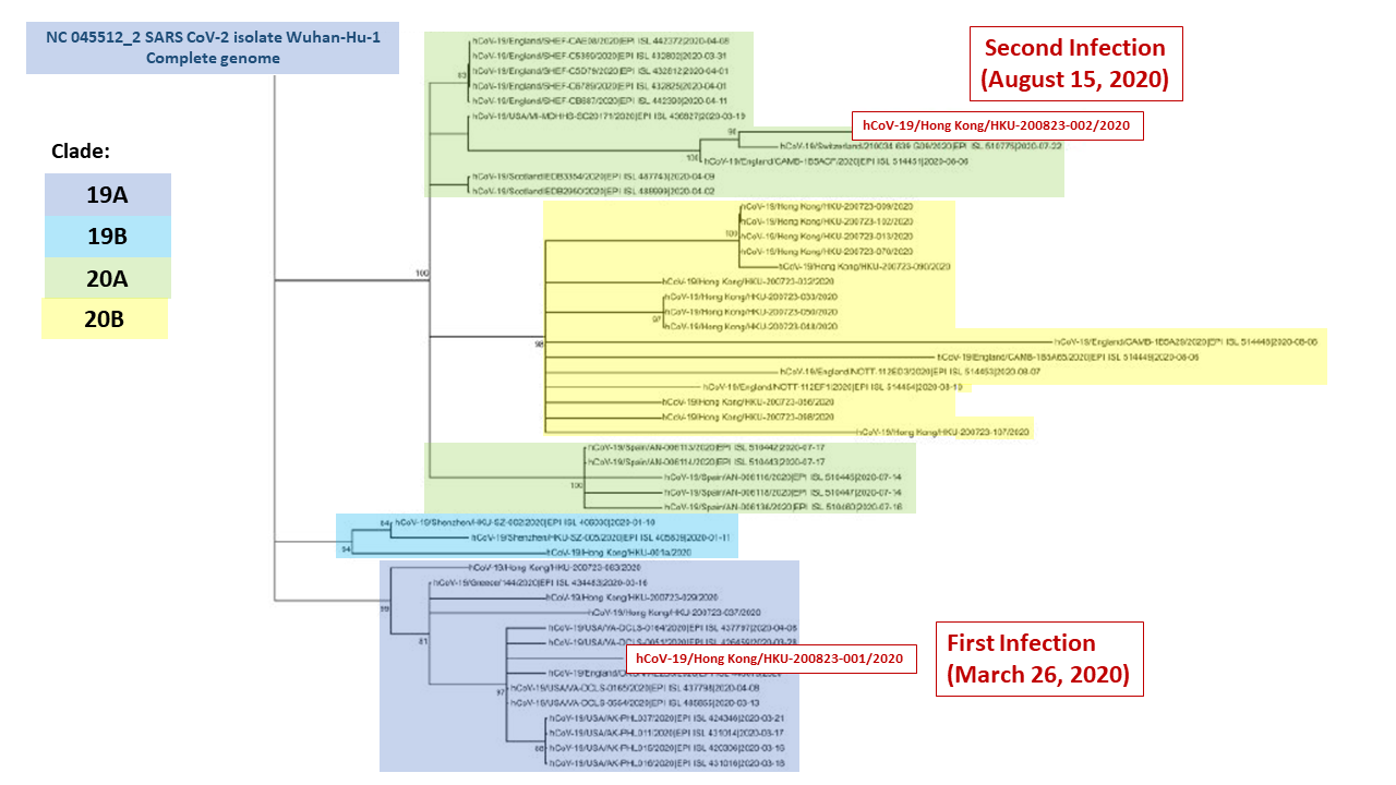 Phylogenetic analysis of whole SARS-CoV-2 genomes showing the relationship between the two strains from the patient from South Korea.