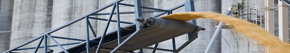 Picture of a grain elevated in front of a silo